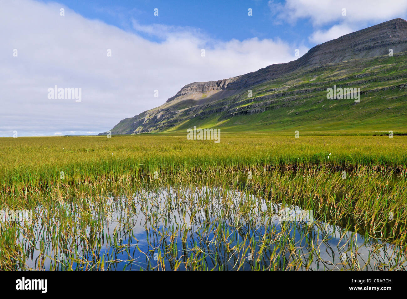 Standing water, Bardsvik bay, east coast of Hornstrandir, Westfjords, Iceland, Europe Stock Photo