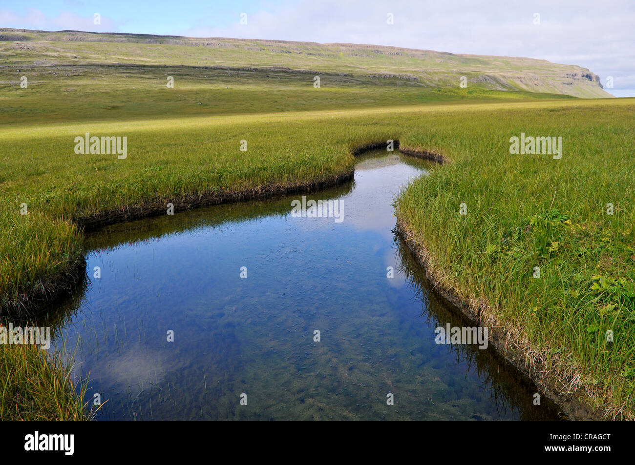 Pond, tall grass, Bardsvik bay, east coast of Hornstrandir, Westfjords, Iceland, Europe Stock Photo