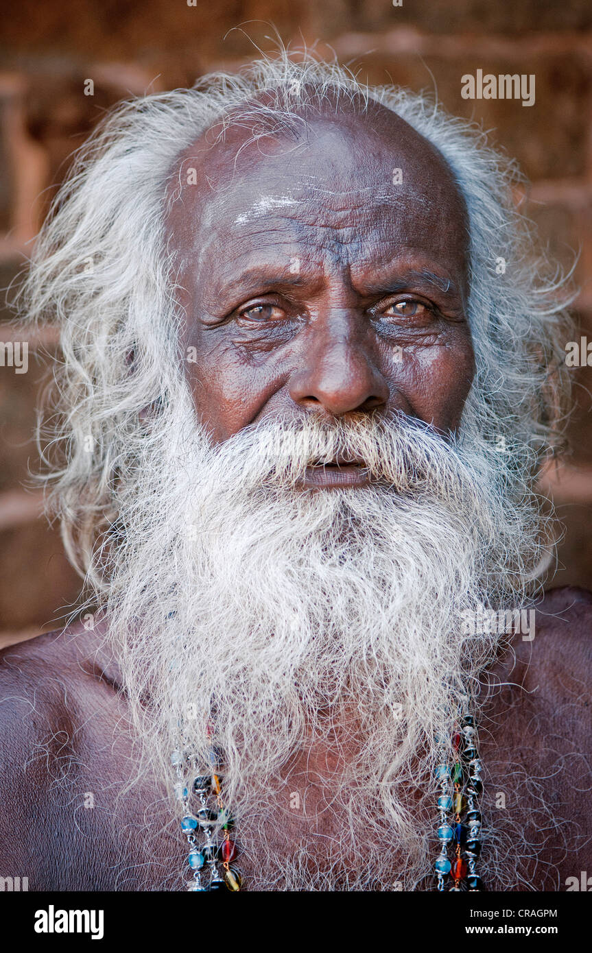 Elderly sadhu man with a white beard and hair, Karaikudi, Tamil Nadu, South  India, India, Asia Stock Photo - Alamy
