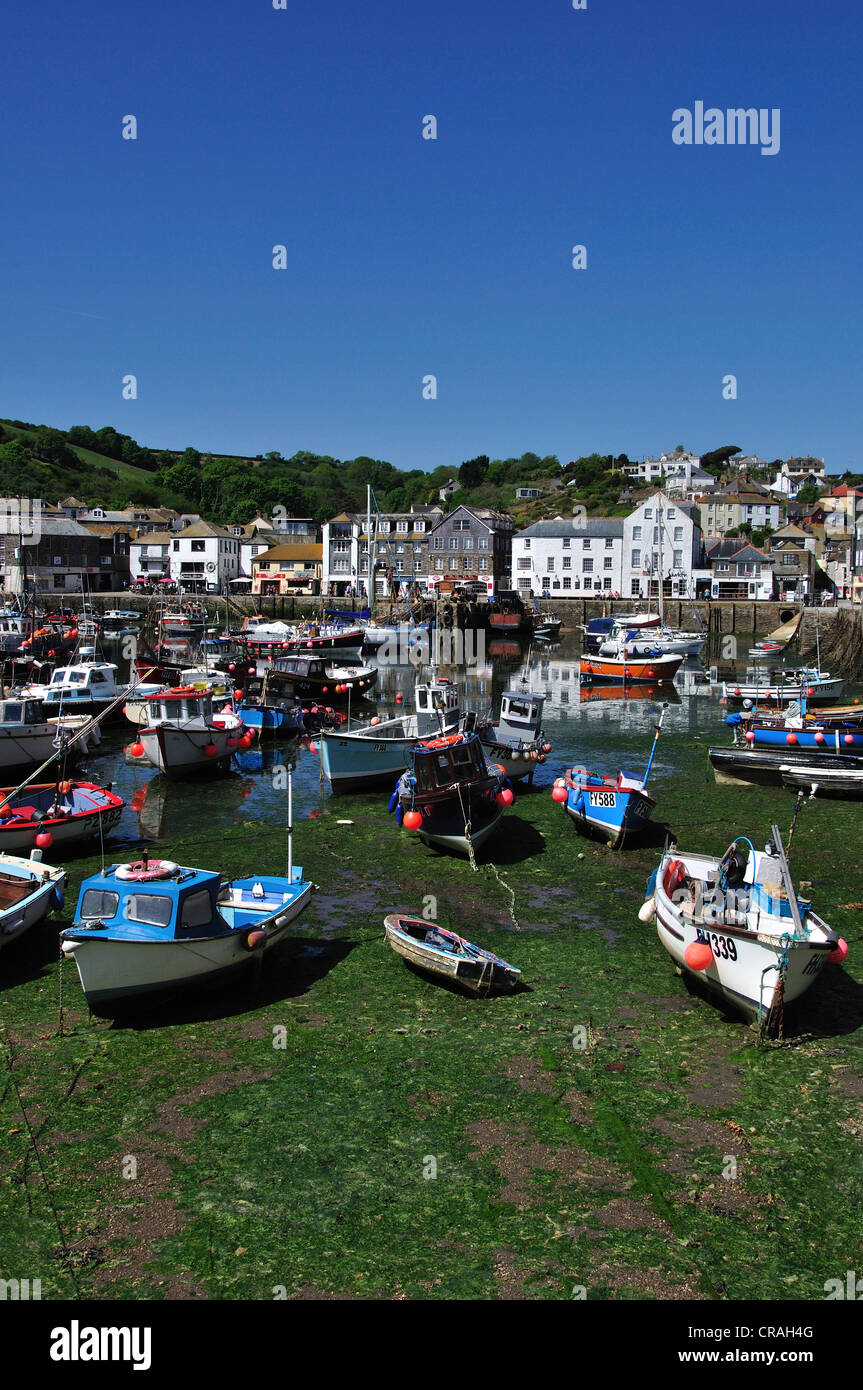 Mevagissey Cornwall harbour boats portrait Stock Photo