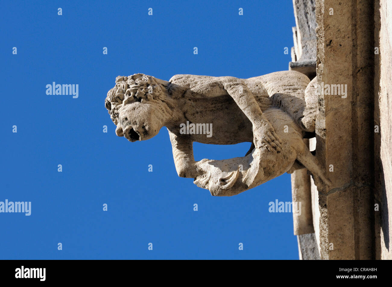 Gargoyle valencia spain hi-res stock photography and images - Alamy