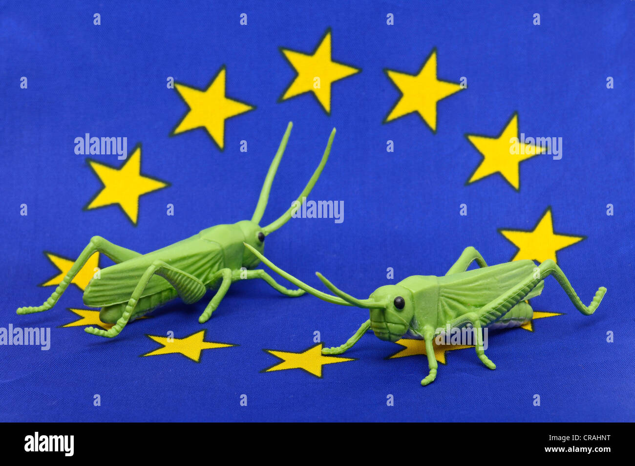 Locusts on European flag, symbolic image euro crisis Stock Photo