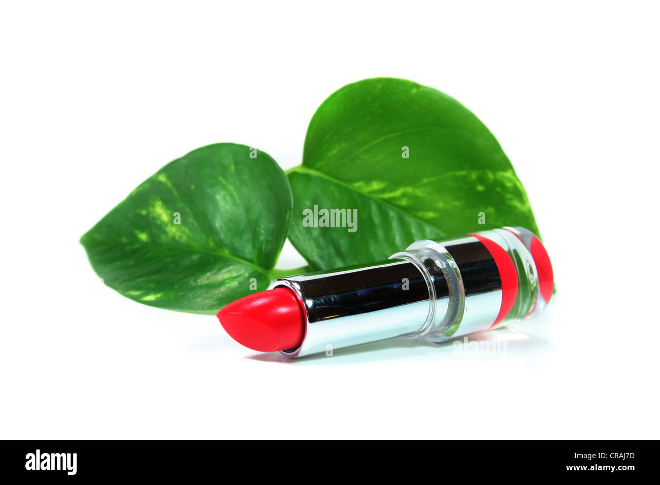 Lipstick on a white background with leaves Stock Photo Alamy