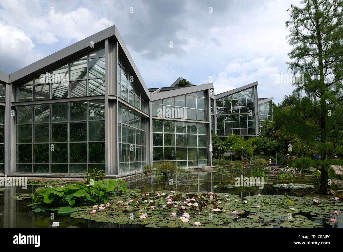 Tropical House, Palm Garden, Frankfurt am Main, Hesse, Germany, Europe Stock Photo
