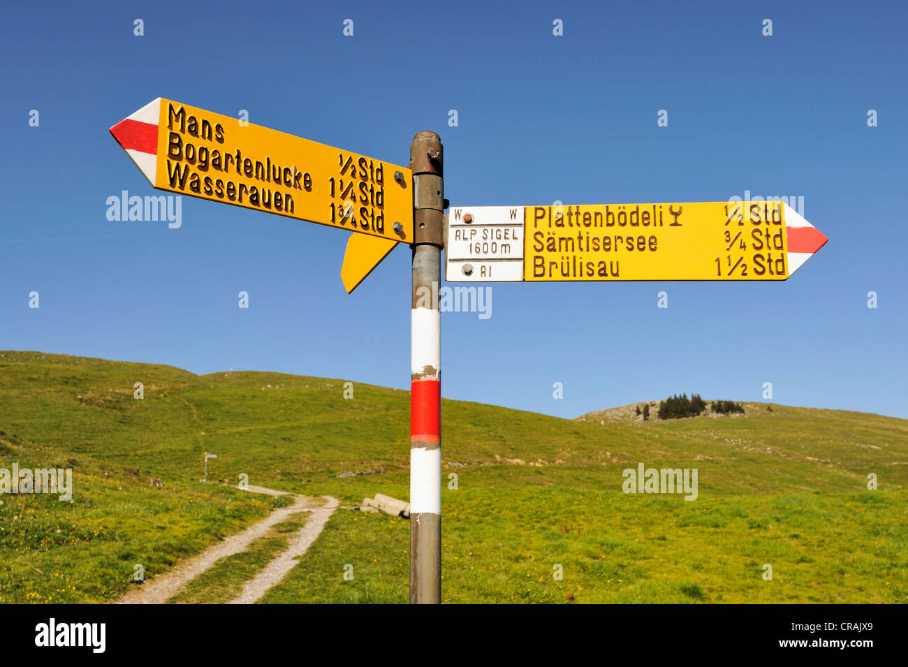 Hiking guide on the high plateau Alp Sigel, 1730 m, in the Appenzell Alps, Canton of Appenzell Innerrhoden, Switzerland, Europe Stock Photo