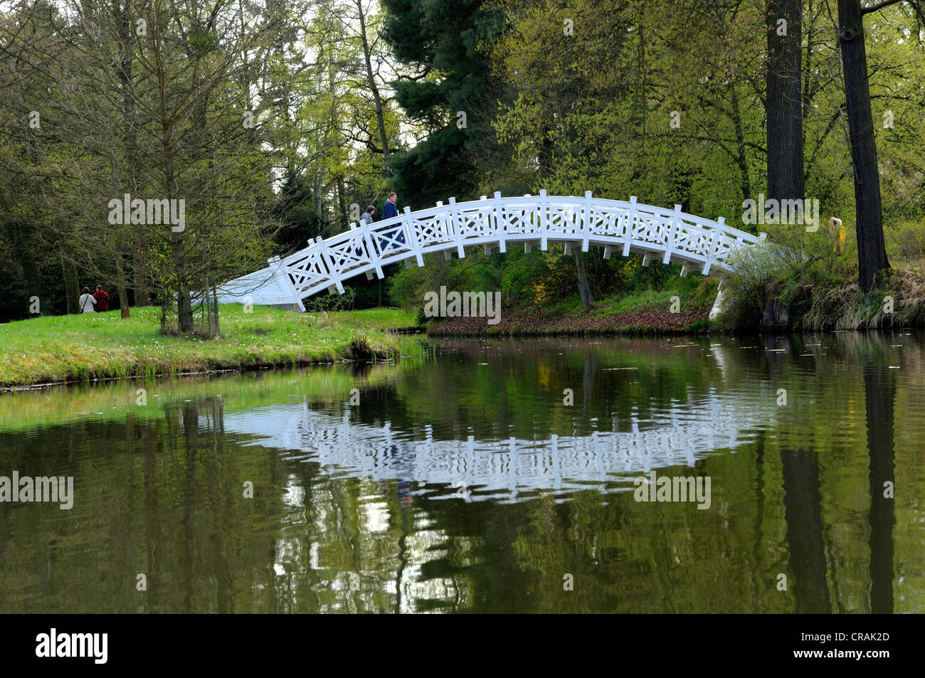 White Bridge, Woerlitzer Park, UNESCO World Heritage Site Dessau-Woerlitzer Gartenreich, Woerlitz, Saxony-Anhalt Stock Photo