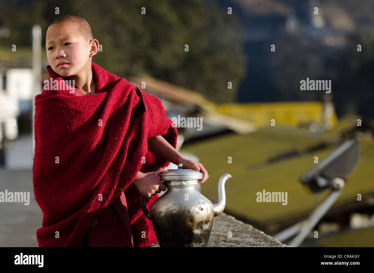 Young monk holding a pot of butter tea, Galden Namgey Lhatse monastery, the biggest Buddhist monastery in India, Tawang Stock Photo