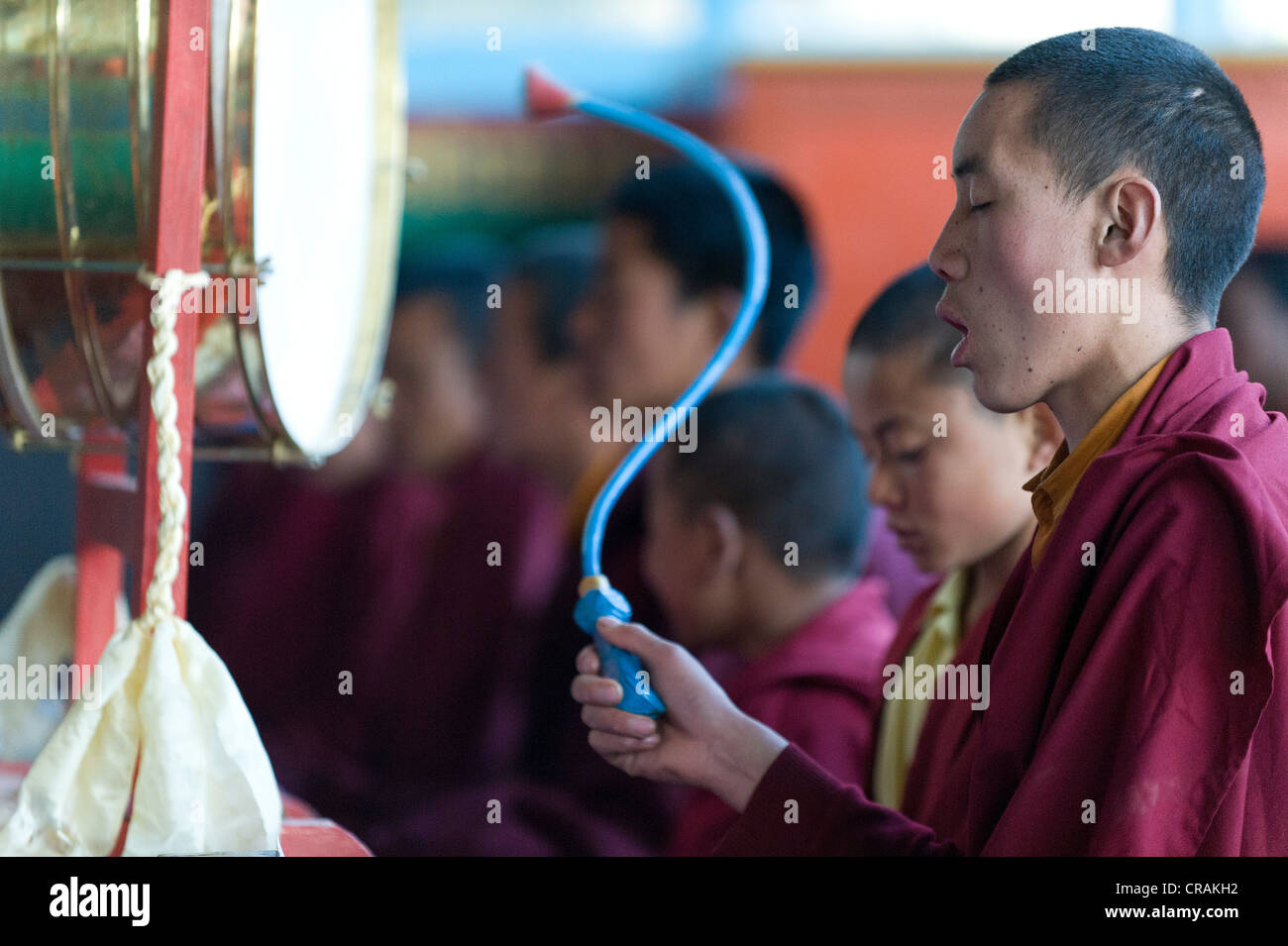 Monks at prayer, Tawang Khinmey Nyingma monastery, near Tawang, Arunachal Pradesh, India, Asia Stock Photo