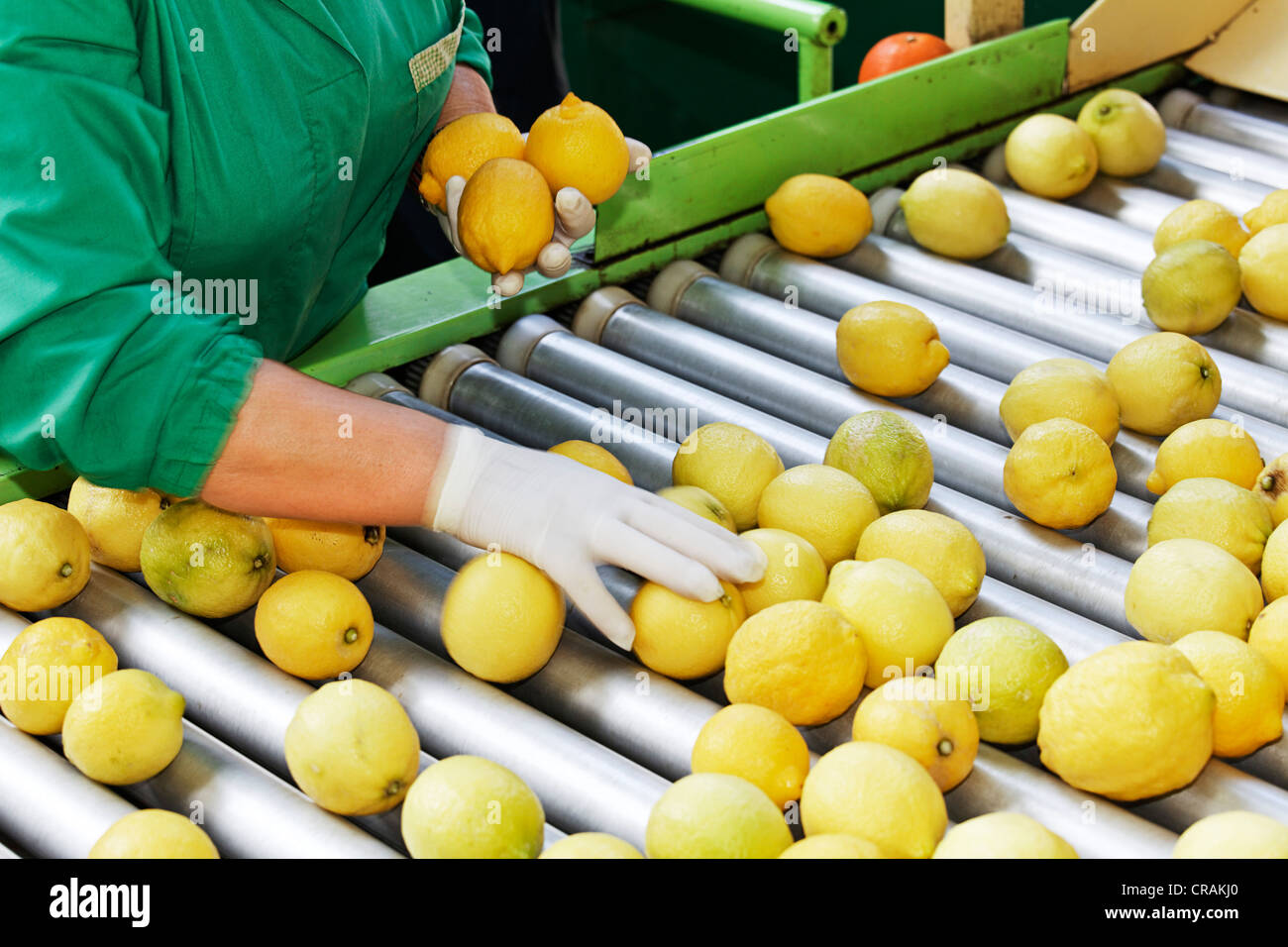Organic vegetable packing factory hires stock photography and images