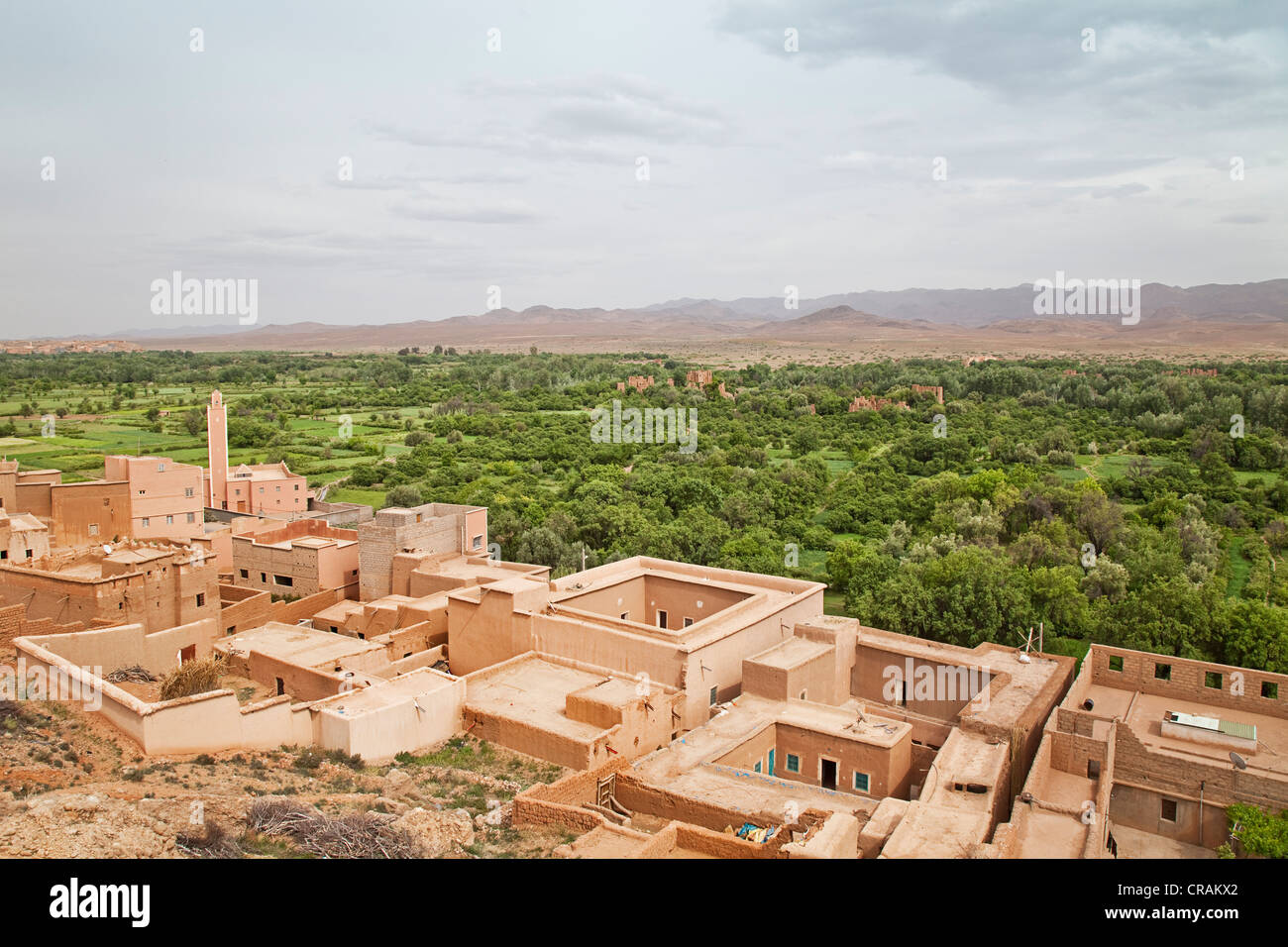 View over El Kelaa and the Valley of Roses, where Damask Roses (Rosa damascena) are grown, Valley of Roses, Dades Valley Stock Photo