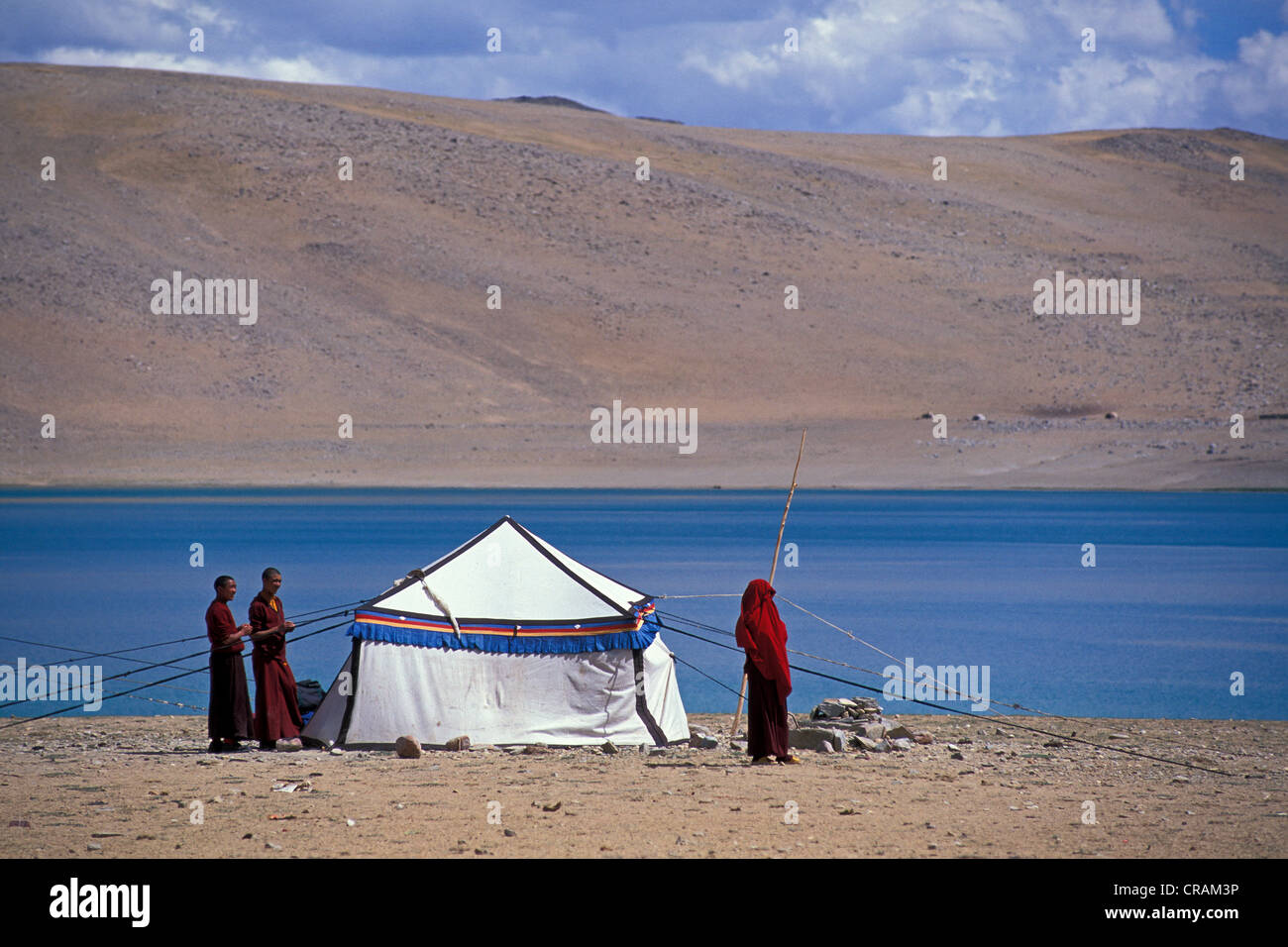 Tibetan nomads, Tazang Tso salt lake, Chang Tang, Ladakh, Indian Himalayas, North India, India, Asia Stock Photo