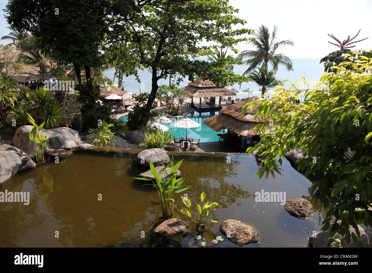 It's a photo of the green nature in Koh Samui in Thailand. We can see coco, flowers and other plants, even the water near the se Stock Photo
