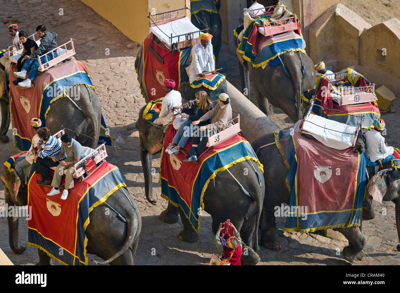 Tourists riding elephants, Amber Fort, Jaipur, Rajasthan, India, Asia Stock Photo