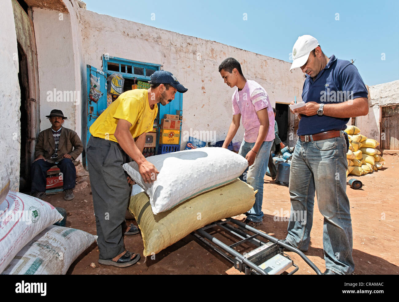 In a small village near , Argan (Argania spinosa) nuts in sacks being weighed and prepared for transport to Sidiyassine where Stock Photo