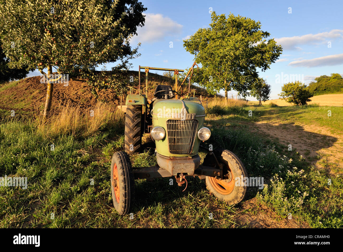 Tractor, Fendt Farmer 2, FW 139, built from 1960 to 1967, in a meadow, Germany, Europe Stock Photo