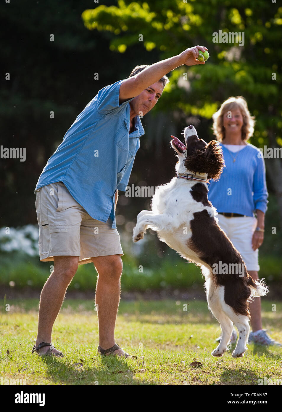A husband and wife play catch with their dog at a local park Stock