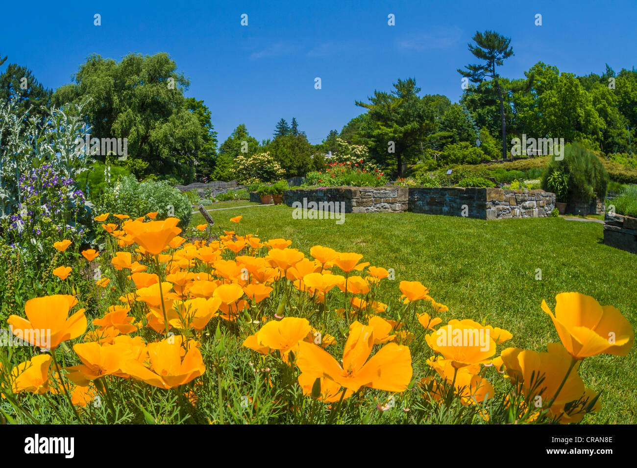 Robison York State Herb Garden in Cornell Plantations in Ithaca New York Stock Photo Alamy
