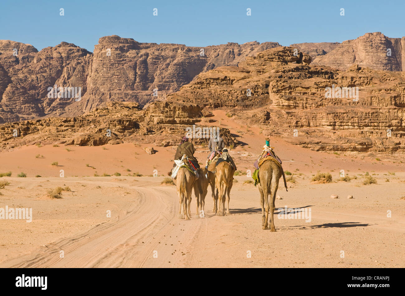 Bedouins with camels in the desert, Wadi Rum, Jordan, Middle East Stock Photo