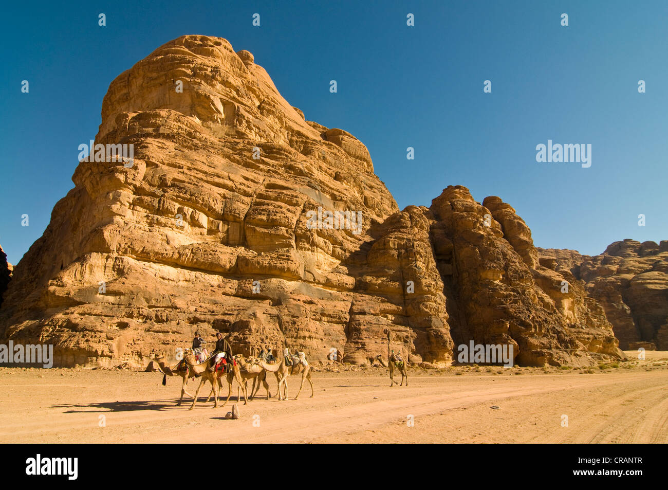 Rocks, Bedouins with camels in front, desert, Wadi Rum, Jordan, Middle East Stock Photo