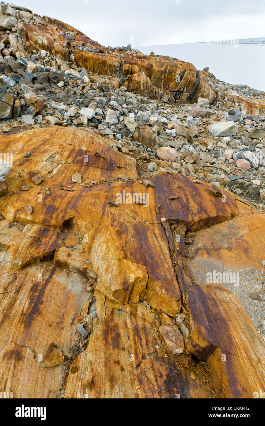 Colourful rock, Mittivakkat Glacier, Ammassalik Island, East Greenland Stock Photo