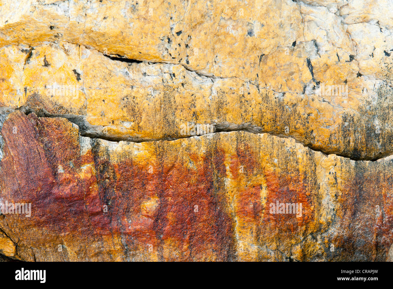 Colourful, iron-bearing rock, Mittivakkat Glacier, Ammassalik Island, East Greenland Stock Photo