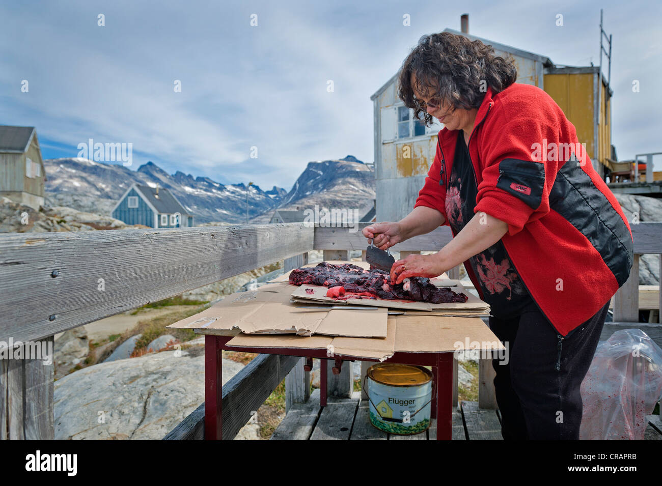 Inuit woman cutting the meat of a seal, Inuit settlement of Tiniteqilaaq, Sermilik Fjord, East Greenland, Greenland Stock Photo