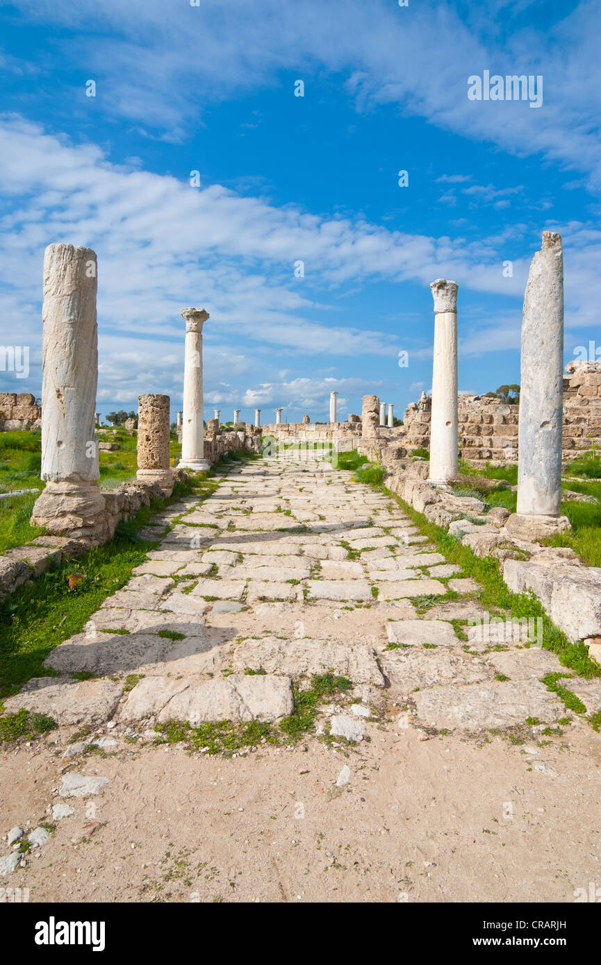 Roman archaeological site of Salamis, Turkish part of Cyprus Stock Photo