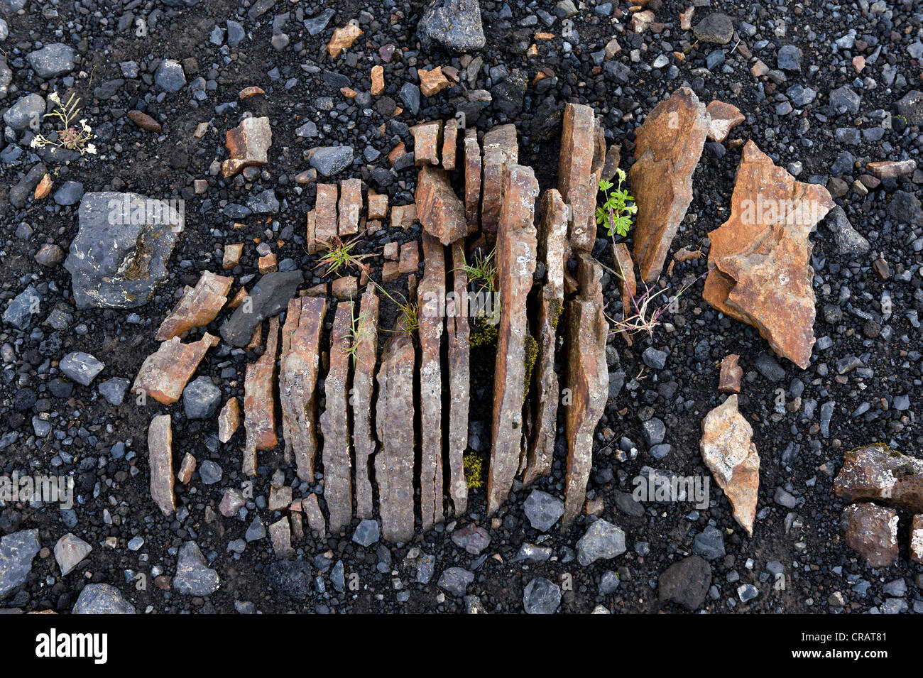 Rocks called Troll bread, Þórsmoerk or Thorsmoerk mountain ridge, Icelandic highlands, South Iceland, Iceland, Europe Stock Photo