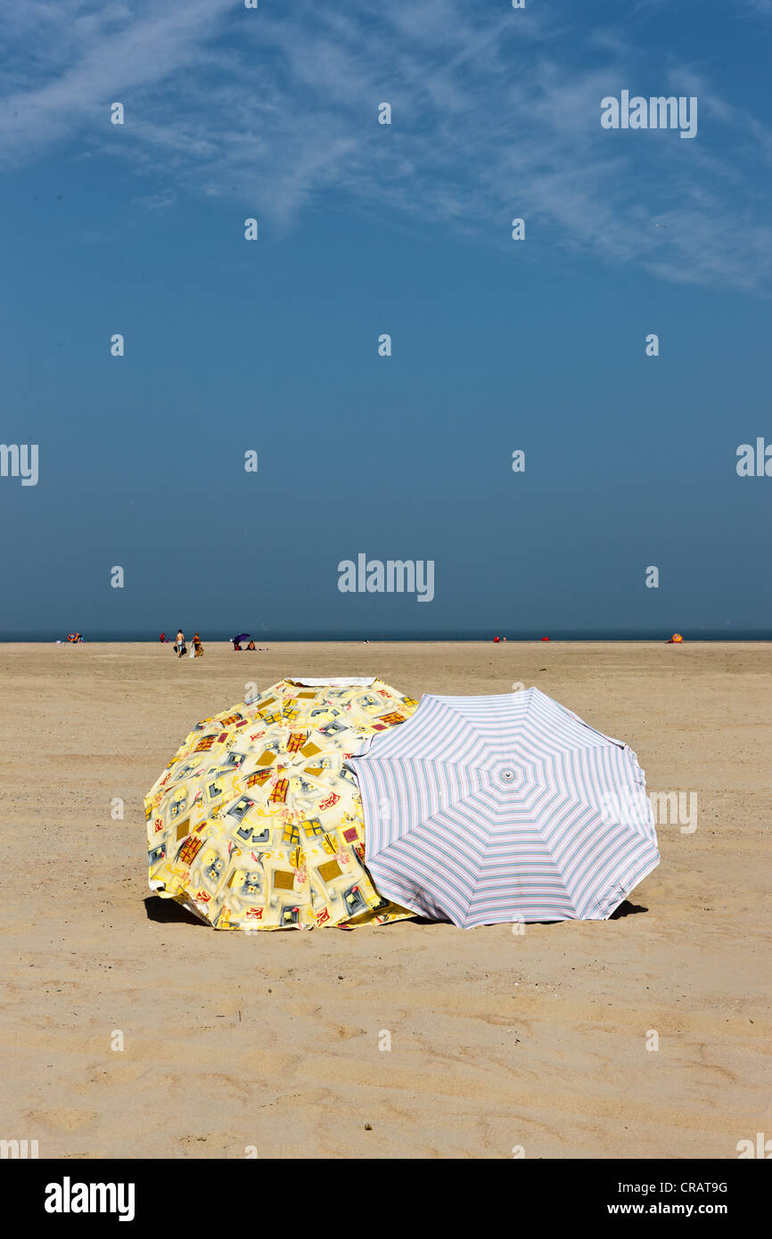 Open parasols on the beach of Zeebrugge, West Flanders, Flemish Region, Belgium, Europe Stock Photo