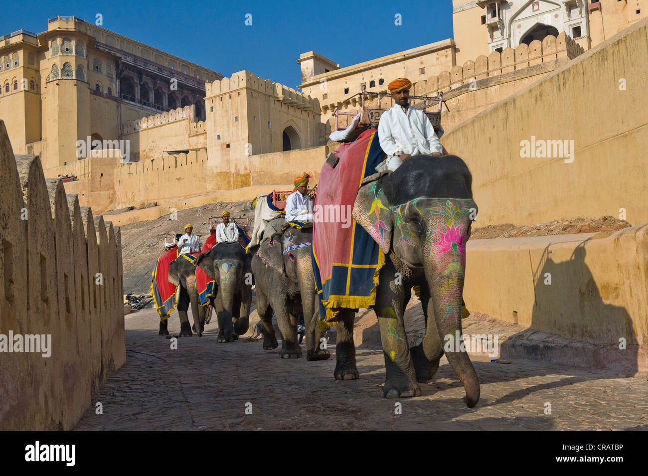 Painted elephants and mahouts, Amber Fort, Jaipur, Rajasthan, India, Asia Stock Photo