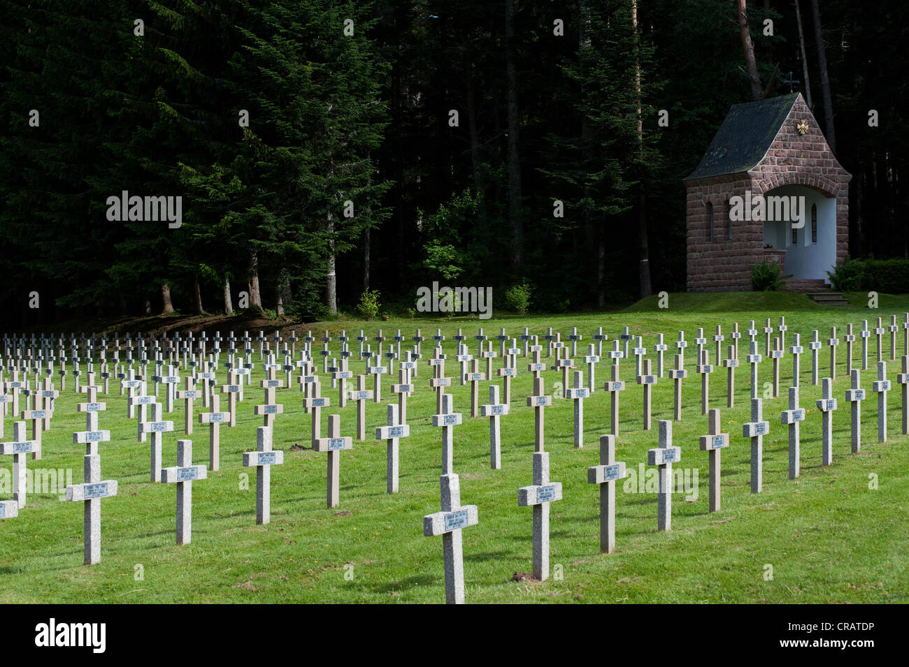 Le Linge french military cemetery at the Col du Wettstein, Alsace, France, Europe Stock Photo