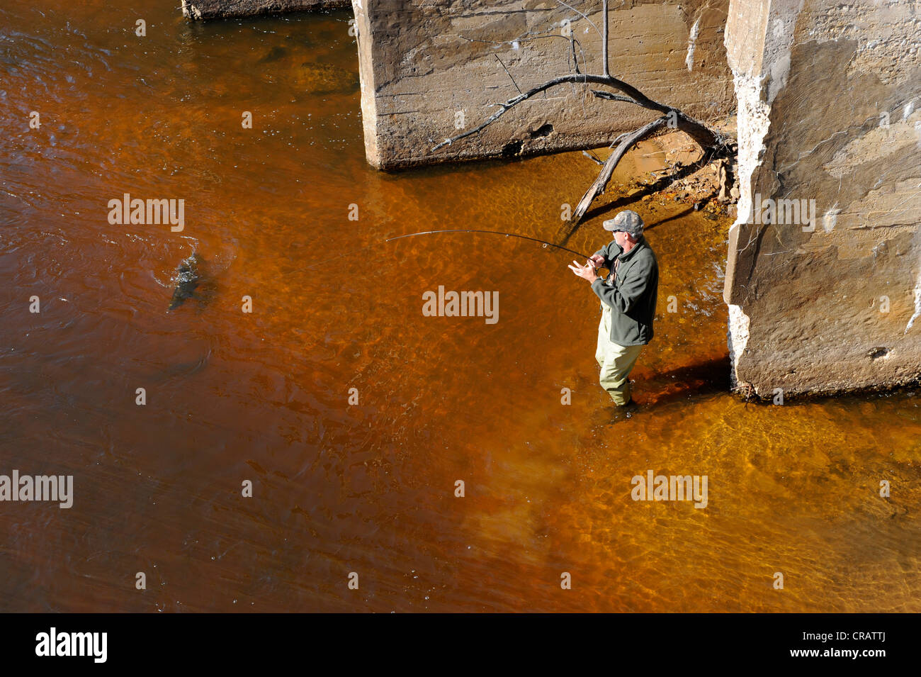 Salmon fishing in the Manistique river Manistique Michigan Upper Peninsula in autumn Stock Photo