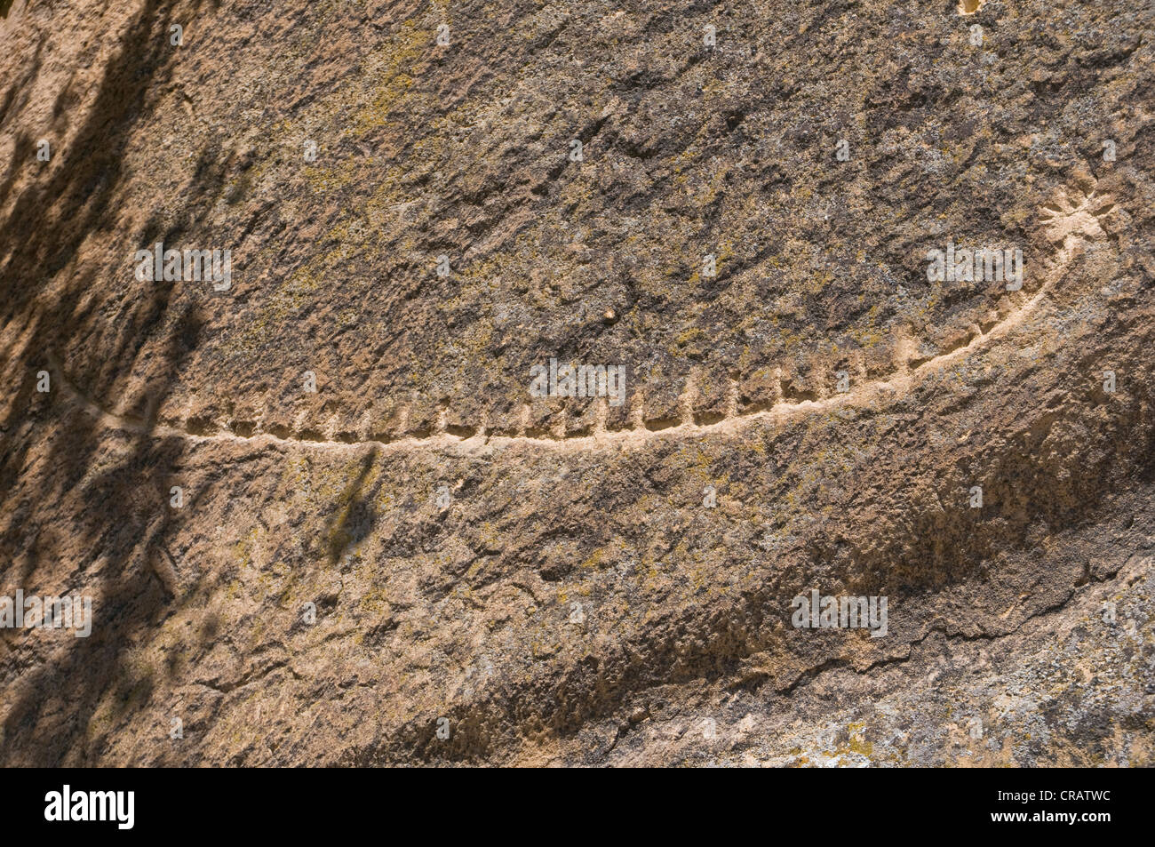 Rock engraving, Qobustan, Azerbaijan, Middle East Stock Photo