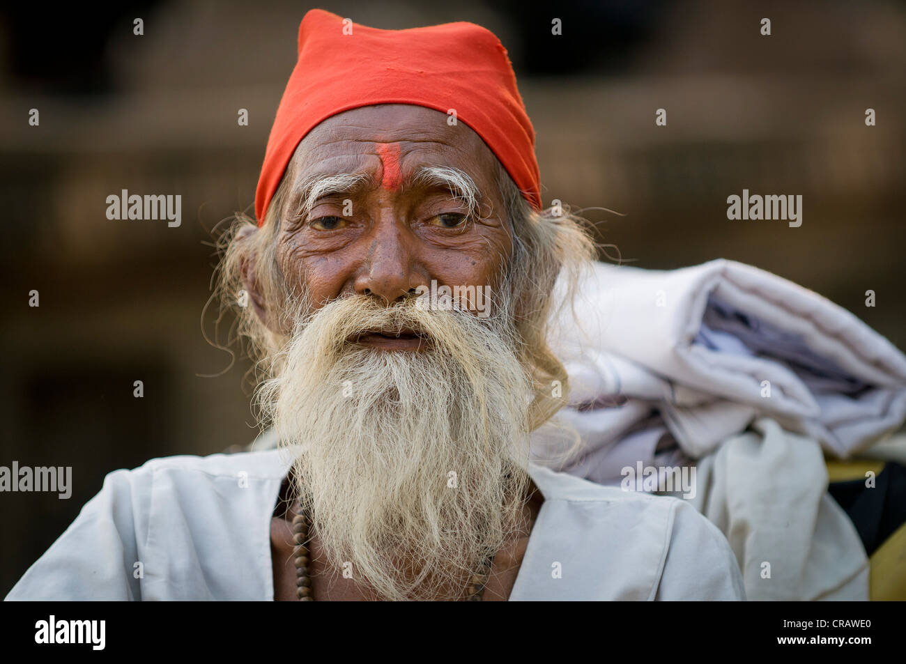 Sadhu with white beard, portrait, Maheshwar, Madhya Pradesh, India, Asia Stock Photo