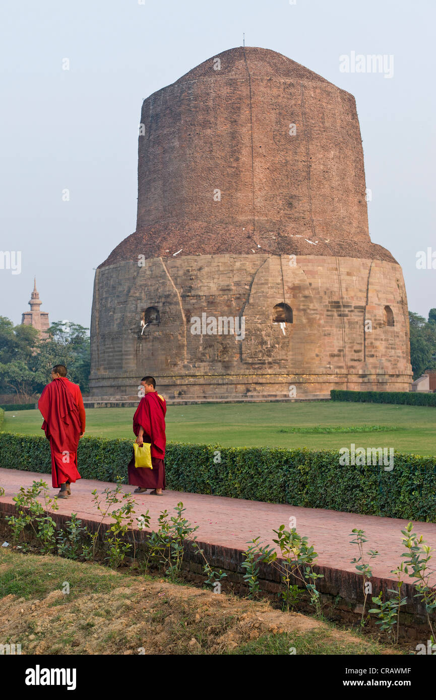 Monks in front of the Dhamek Stupa, Buddhist holy place Sarnath, Uttar Pradesh, India, Asia Stock Photo