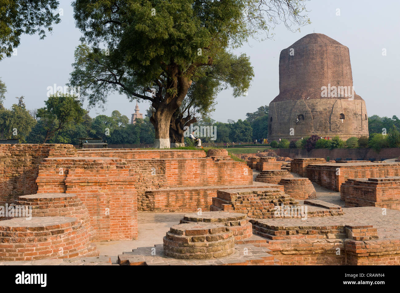 Excavations at the Dhamek Stupa, Buddhist holy place Sarnath, Uttar Pradesh, India, Asia Stock Photo