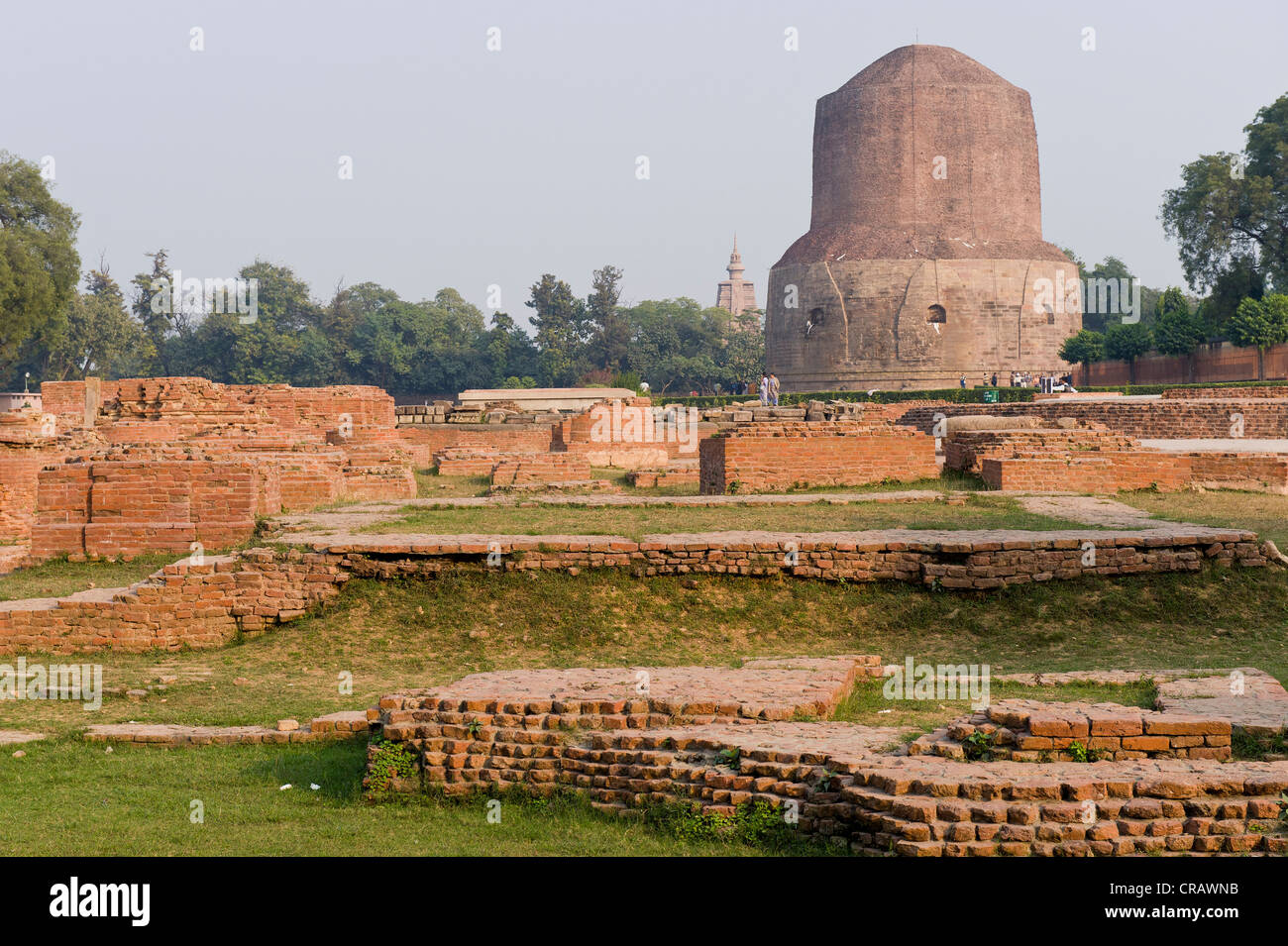 Excavations at the Dhamek Stupa, Buddhist holy place Sarnath, Uttar Pradesh, India, Asia Stock Photo