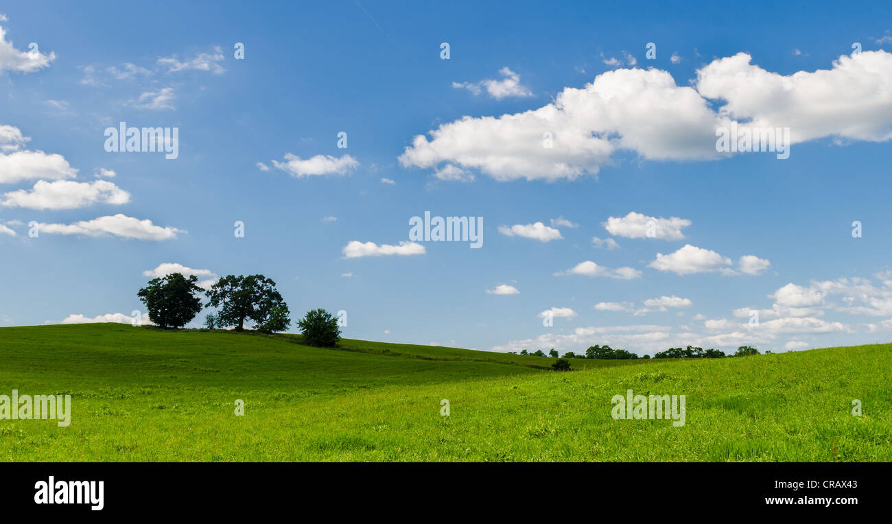 Blue sky with white clouds and trees Stock Photo - Alamy