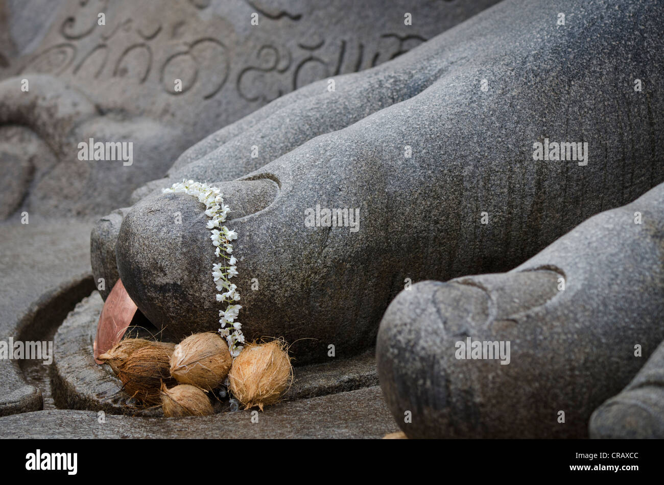Toes of the monolithic statue of the Jain saint Gomateshwara decorated with jasmine flowers, coconuts, Sravanabelagola Stock Photo