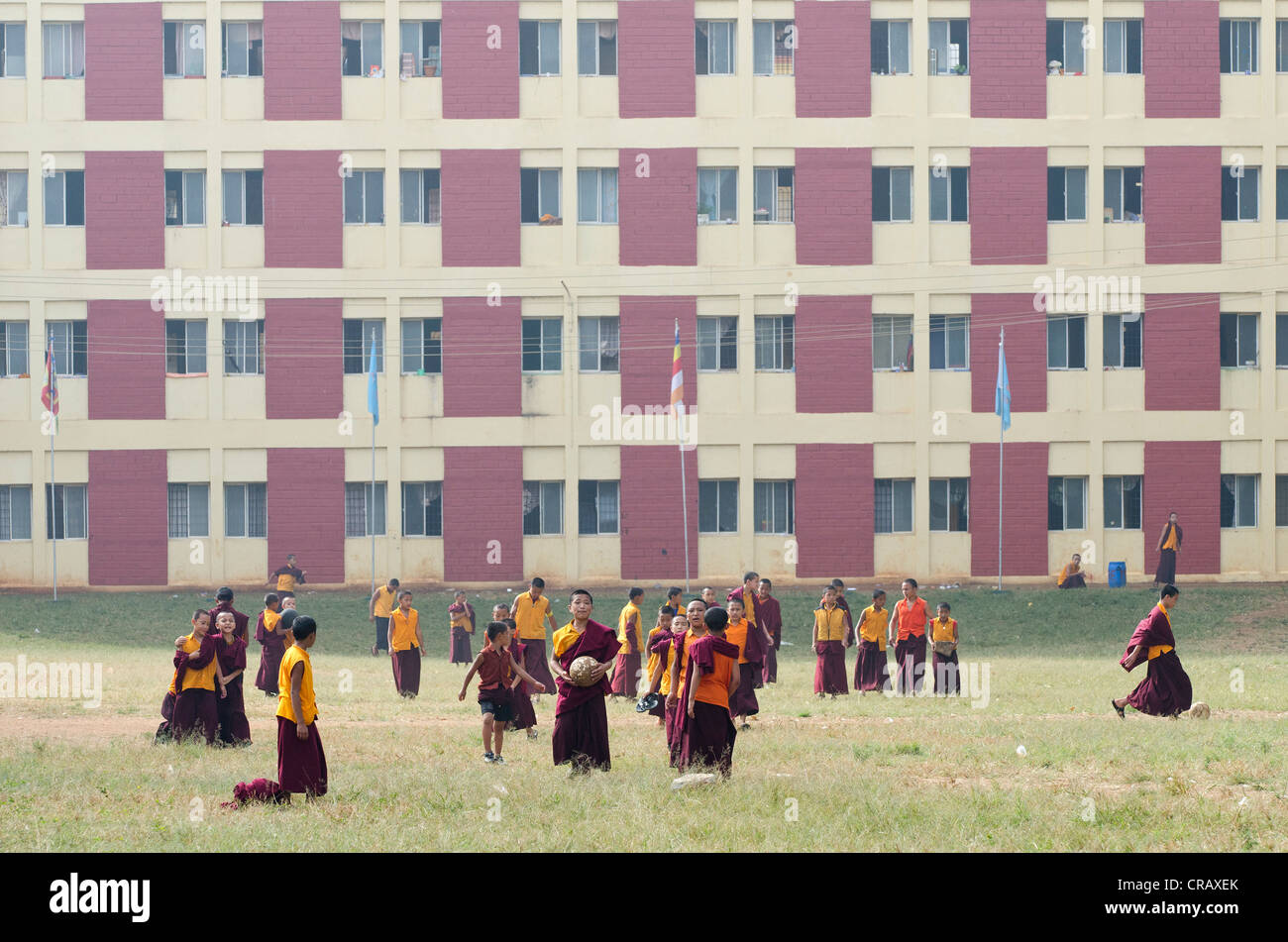 Young monks playing, Tibetan refugee settlement in Bylakuppe, Mysore District, Karnataka, South India, India, Asia Stock Photo