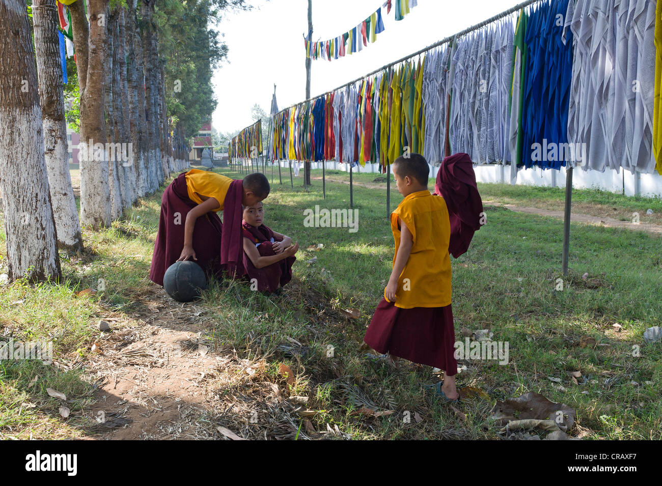 Young monks playing, Tibetan refugee settlement in Bylakuppe, Mysore District, Karnataka, Southern India, India, Asia Stock Photo