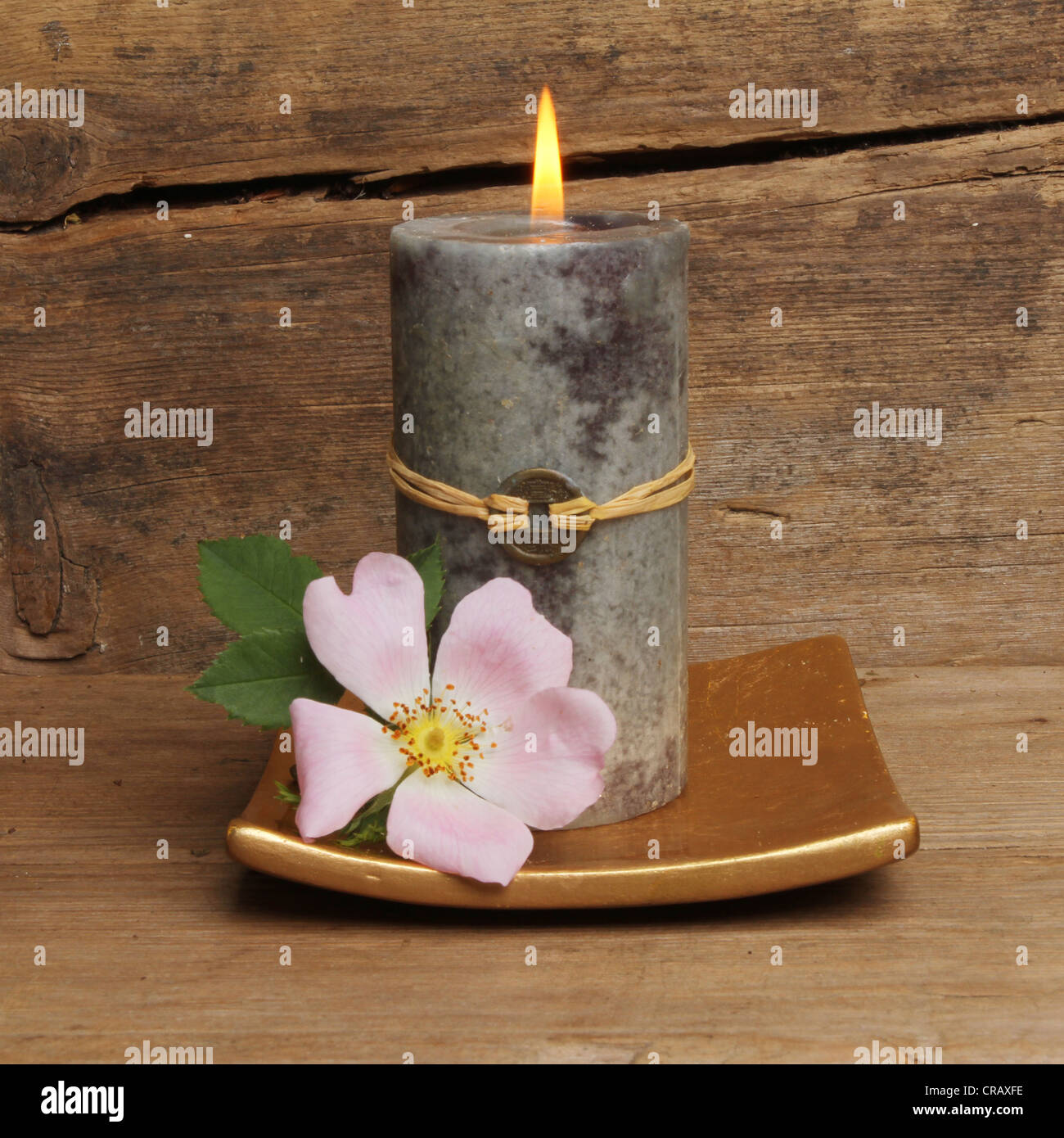 Wild dog rose and burning Feng Shui candle against a background of old  cracked and weathered wood Stock Photo - Alamy