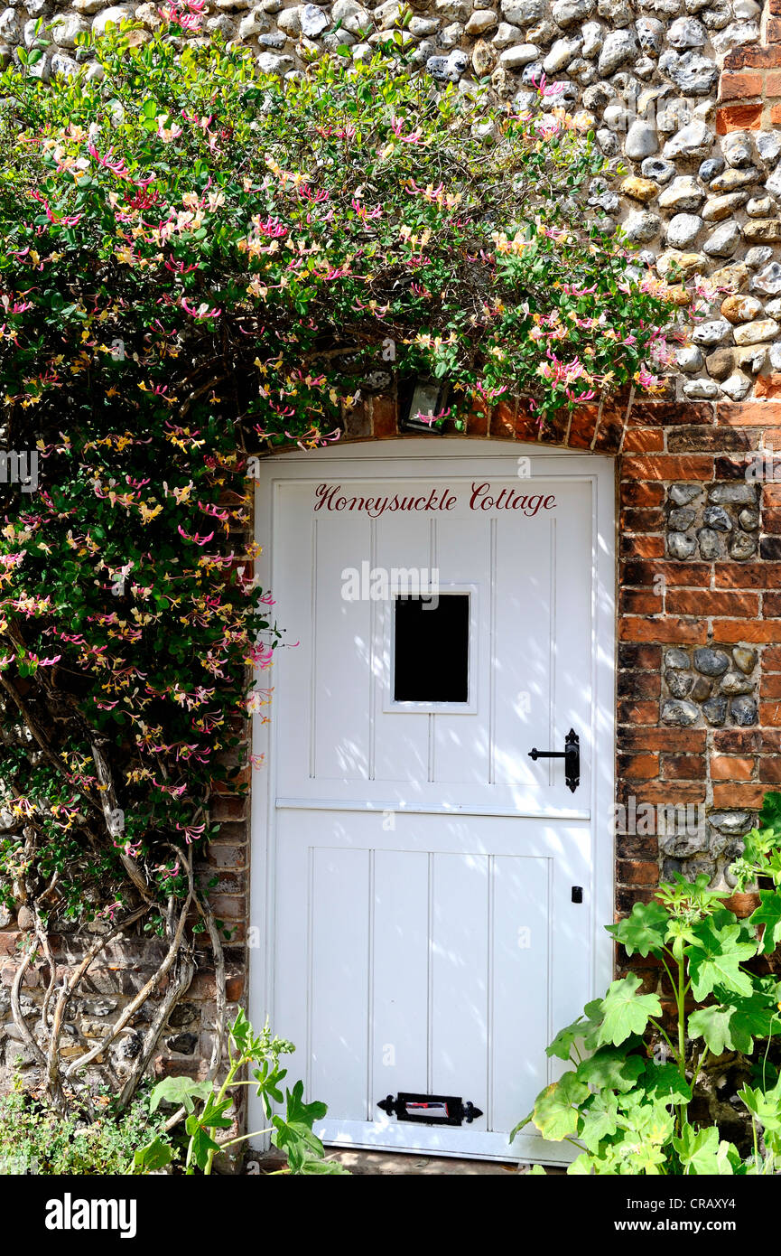 Honeysuckle plant attached to a stone flint wall over a white wooden door. Stock Photo