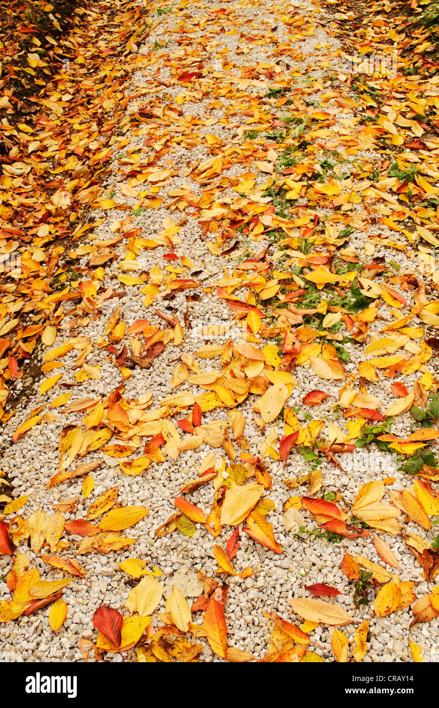Fall ground hi-res stock photography and images - Alamy
