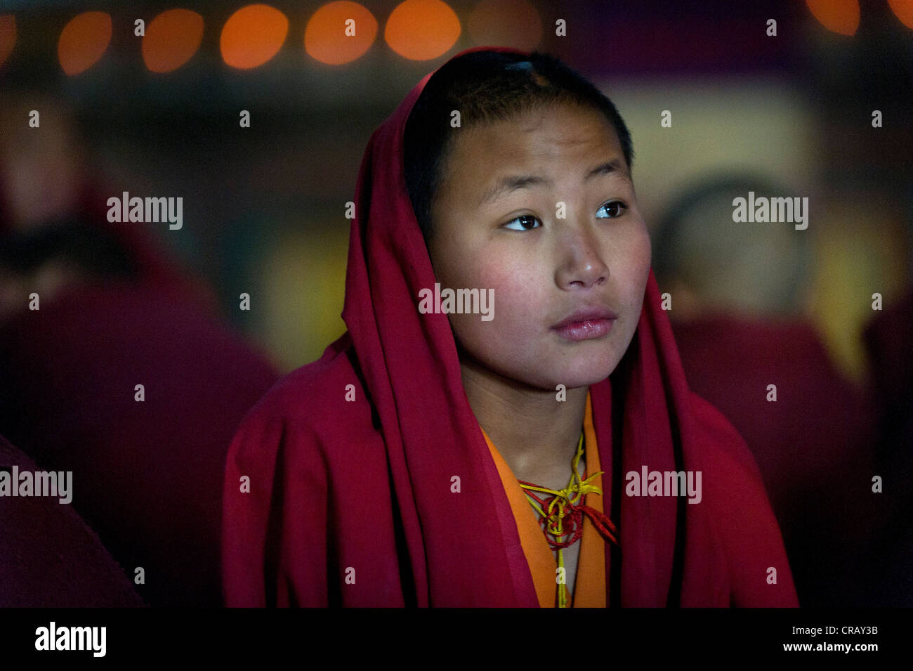 Young monk, Galden Namgey Lhatse Monastery, the largest Buddhist monastery in India, Tawang, Arunachal Pradesh, India, Asia Stock Photo