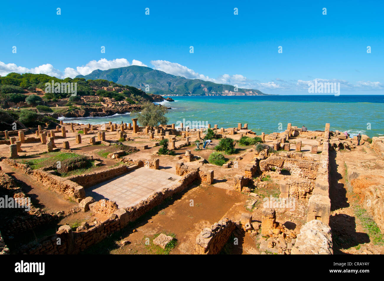 Roman ruins of Tipasa, UNESCO World Heritage Site, Algeria, Africa