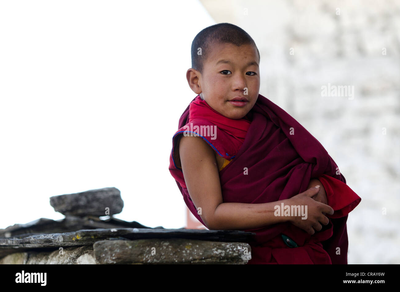 Young monk at Galden Namgyal Lhatse monastery, largest Buddhist monastery in India, Tawang, Arunachal Pradesh, India, Himalayas Stock Photo