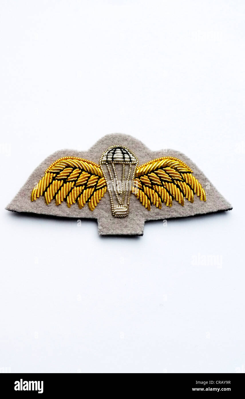 AUSTIN HEALEY Wings embroidered patch 