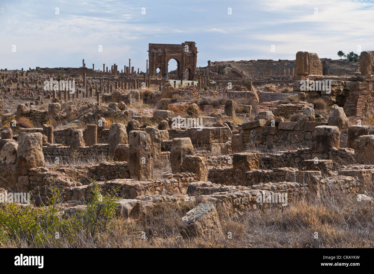 Roman ruins of Timgad, UNESCO World Heritage Site, Algeria, Africa