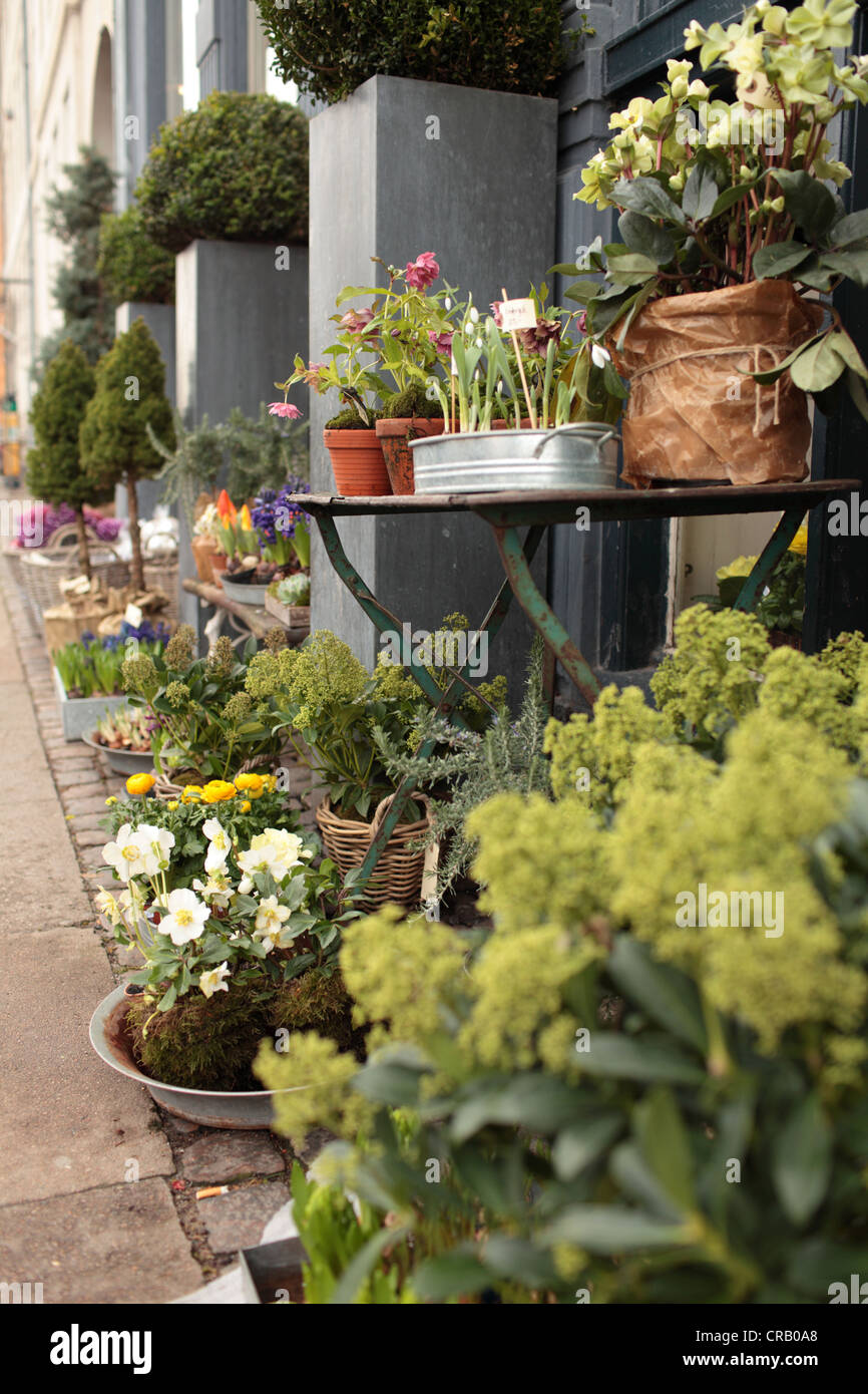 Flower shop in Copenhagen, Denmark Stock -